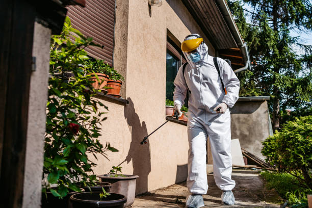 Pest Prevention Services in Orland Park, IL