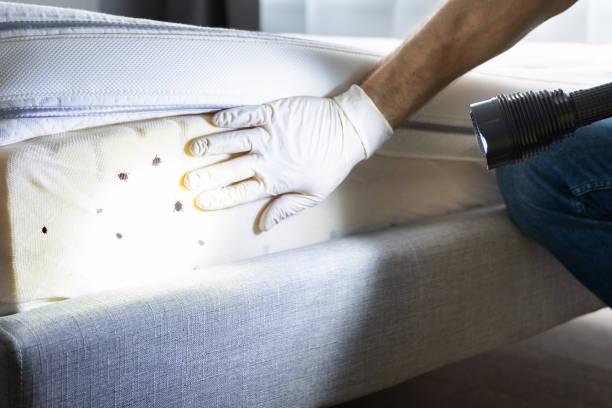 Best Pest Prevention Services  in Orland Park, IL