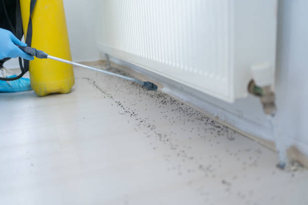 Best Commercial Pest Control Services  in Orland Park, IL