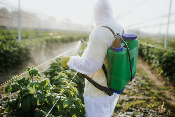 Best Best Pest Control Companies  in Orland Park, IL